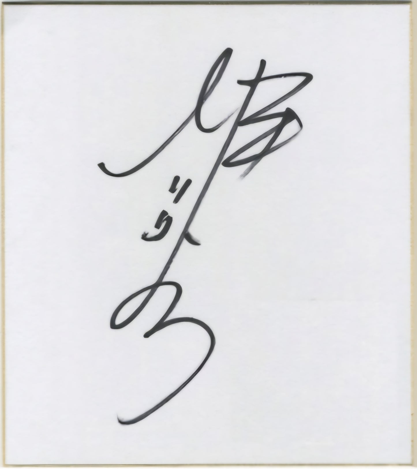 Dragonball Ryo Horikawa (Vegeta) autographed Hand Signed Shikishi