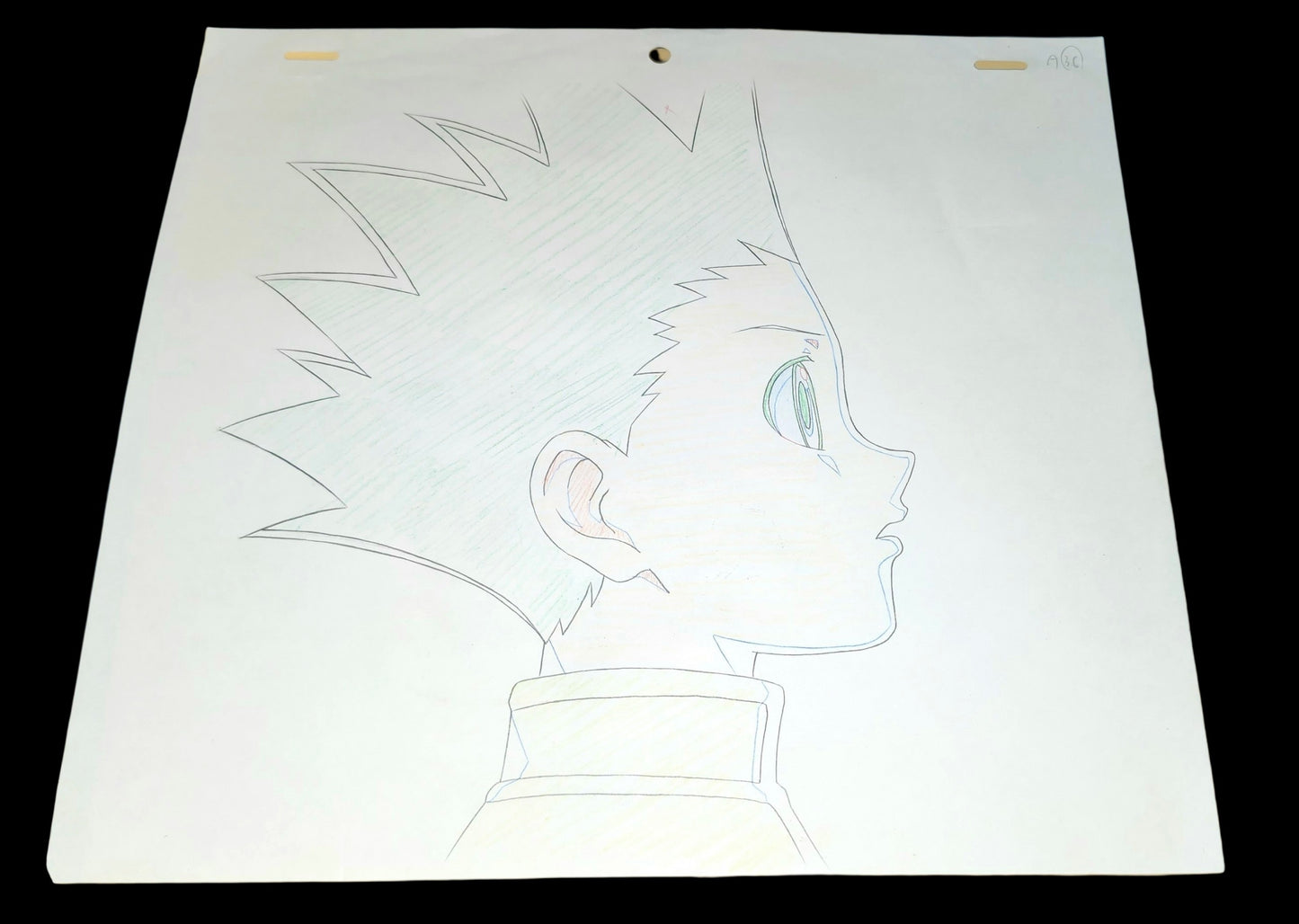Hunter x Hunter: Gon animation douga