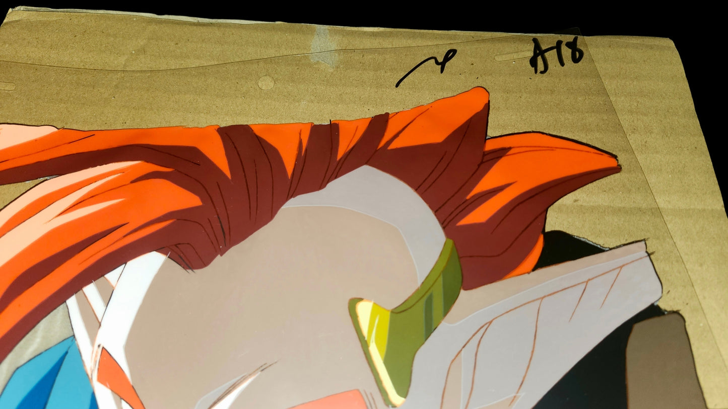 Dragonball z: Tapion animation movie cel