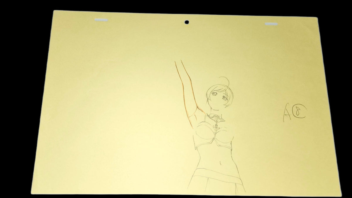 Rosario + Vampire: Opening Moka Akashiya animation OP genga 9 pc