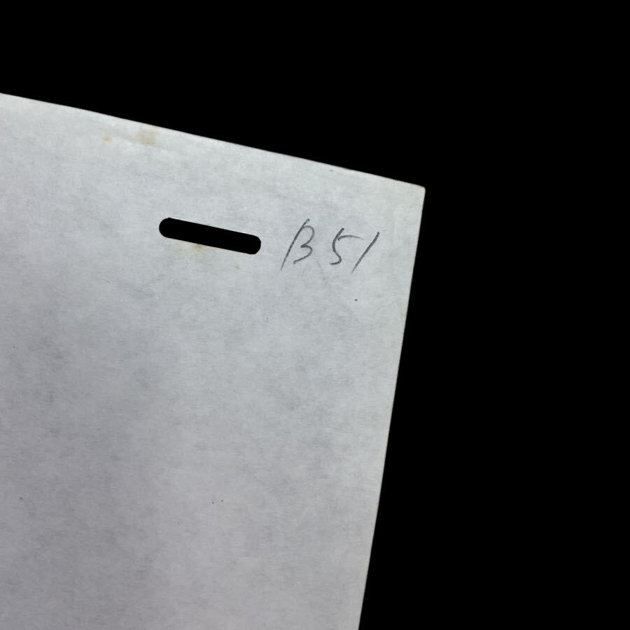 Slayers: Lina inverse animation cel