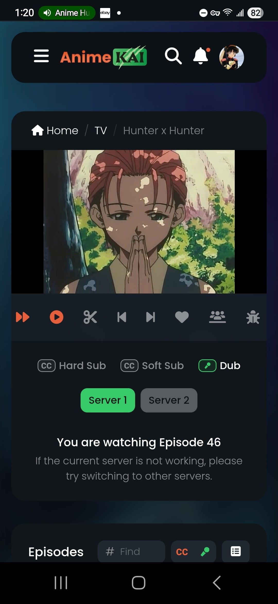 Hunter x Hunter: Mito Freecss animation cel