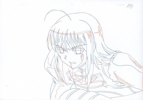 Fate/Stay Night: Saber animation douga