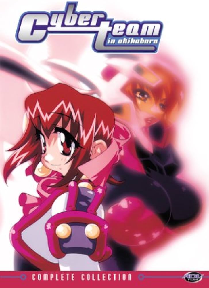 Cyber Cyber Team in Akihabara