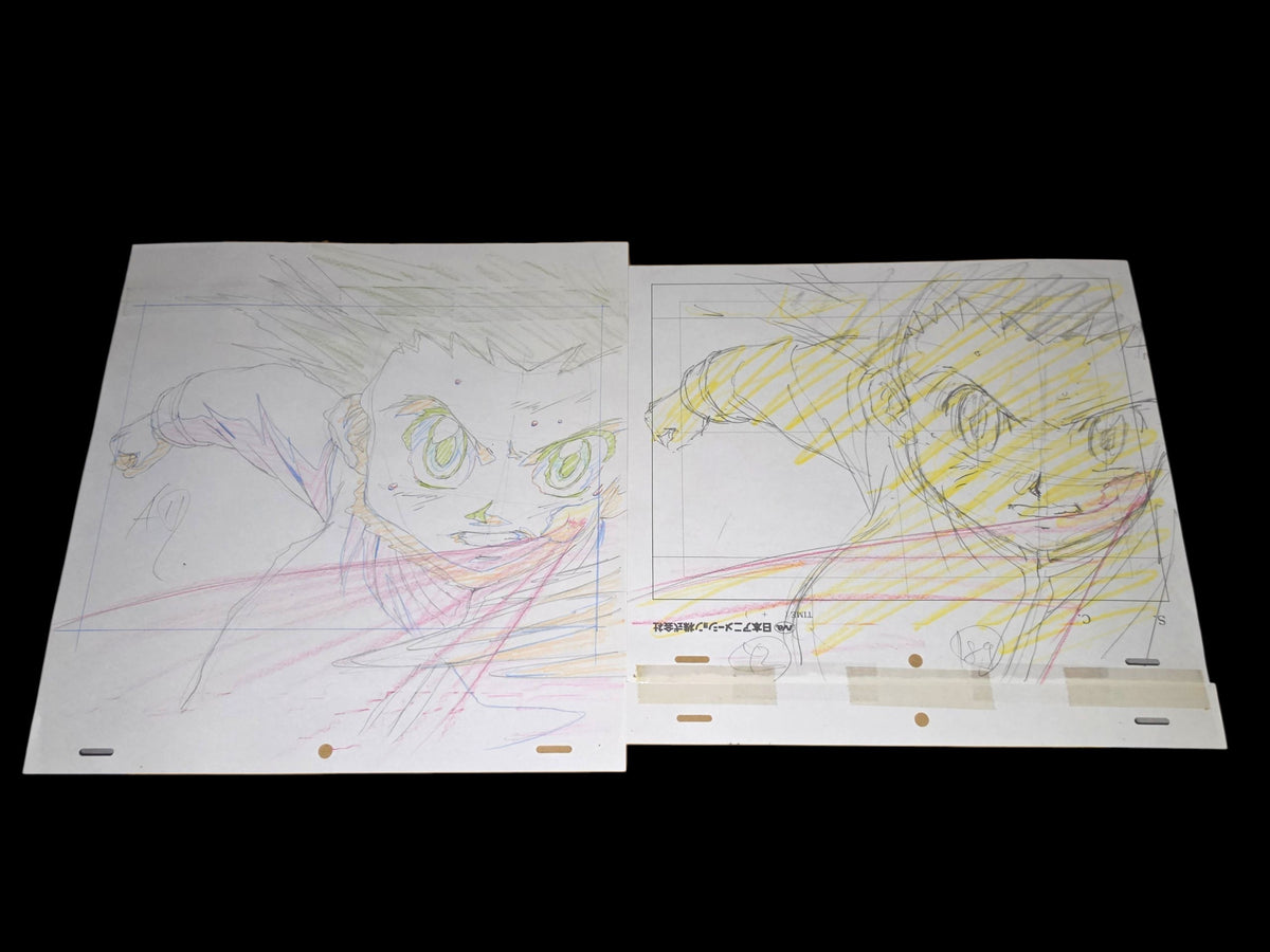 Hunter X Hunter: Gon + (Hisoka's) bungee gum animation genga whole set