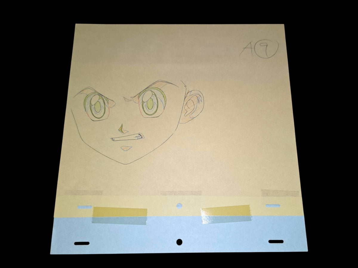 Hunter X Hunter: Gon + (Hisoka's) bungee gum animation genga whole set
