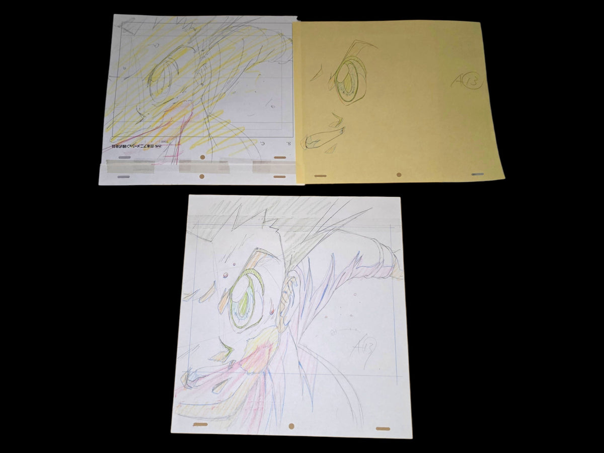 Hunter X Hunter: Gon + (Hisoka's) bungee gum animation genga whole set