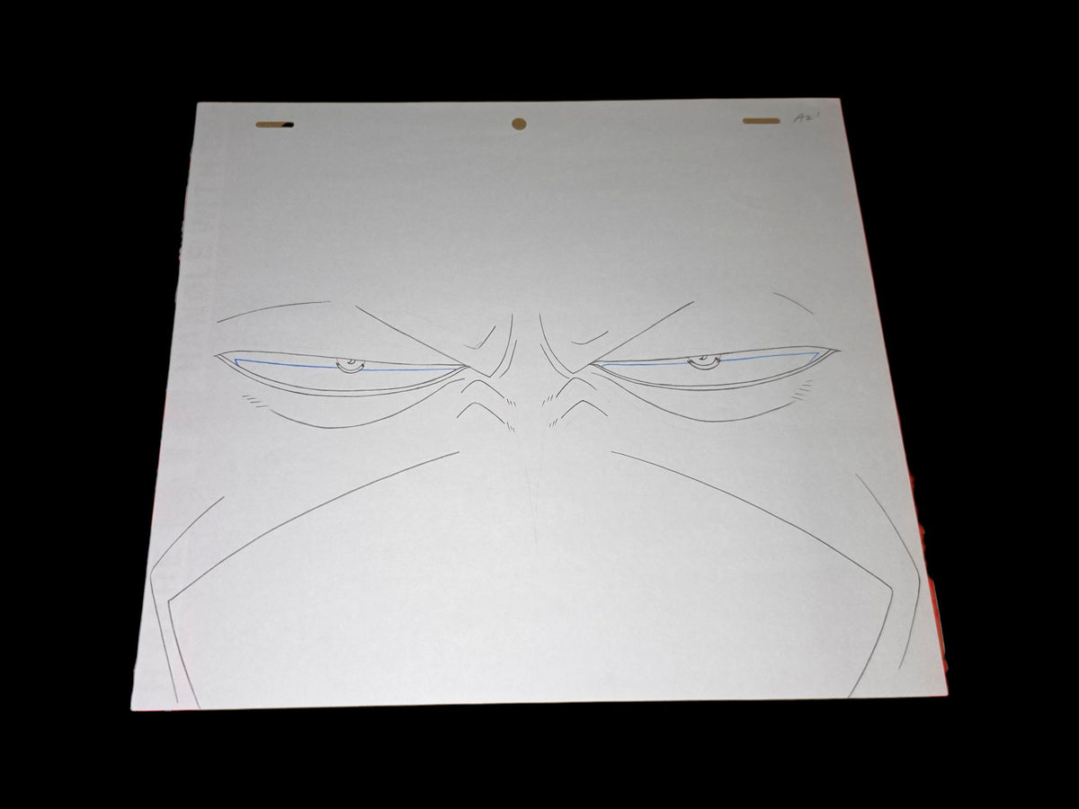 One Piece: Arlong animation genga/douga 20 pc set ep 41