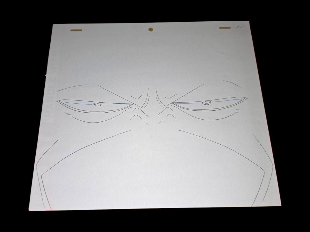 One Piece: Arlong animation genga/douga 20 pc set ep 41