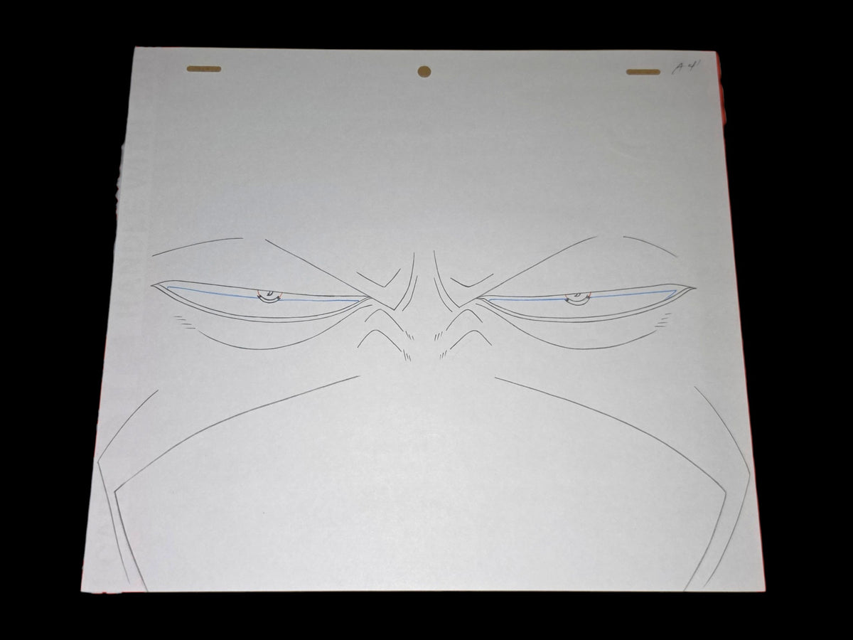 One Piece: Arlong animation genga/douga 20 pc set ep 41