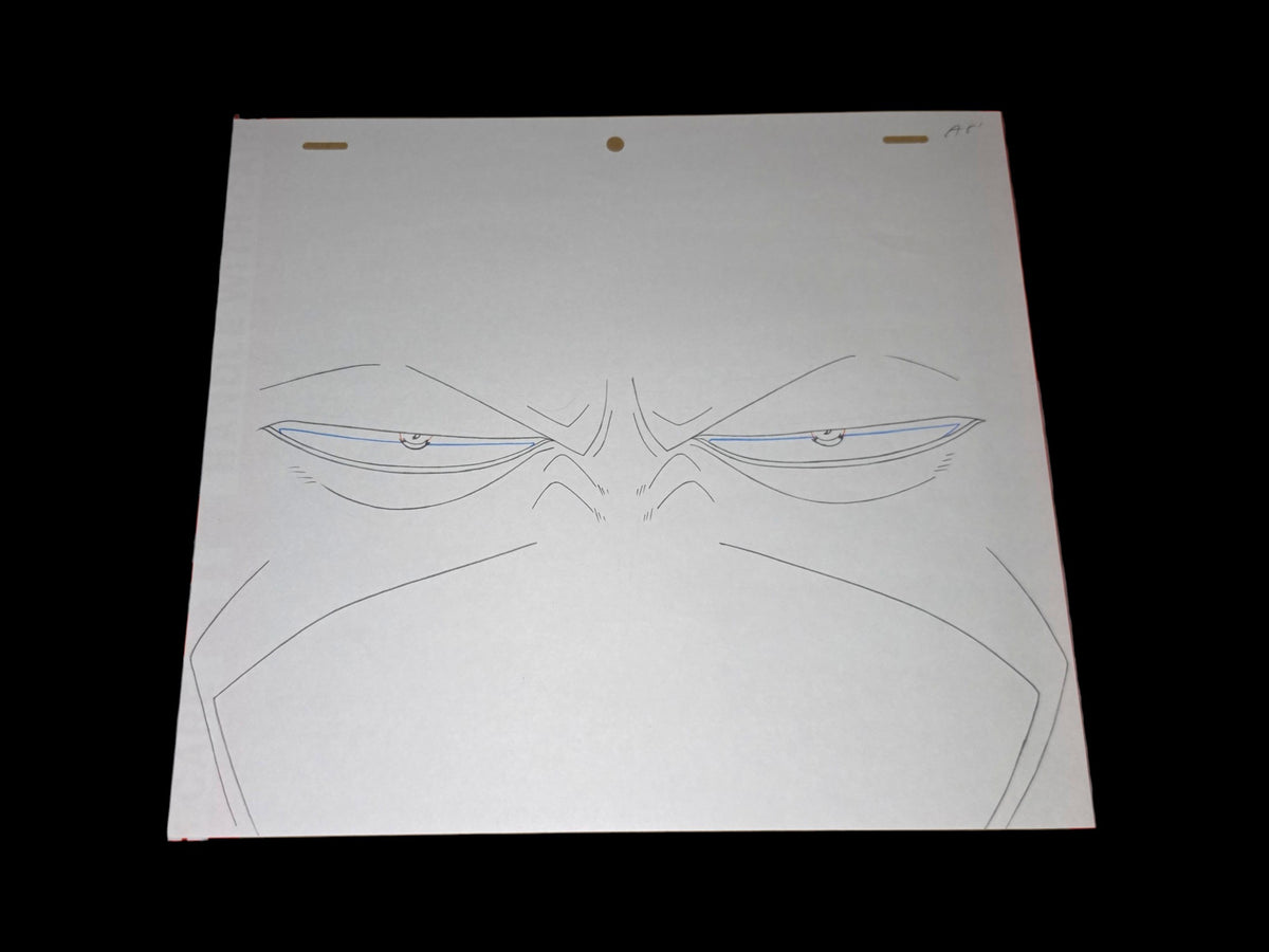 One Piece: Arlong animation genga/douga 20 pc set ep 41