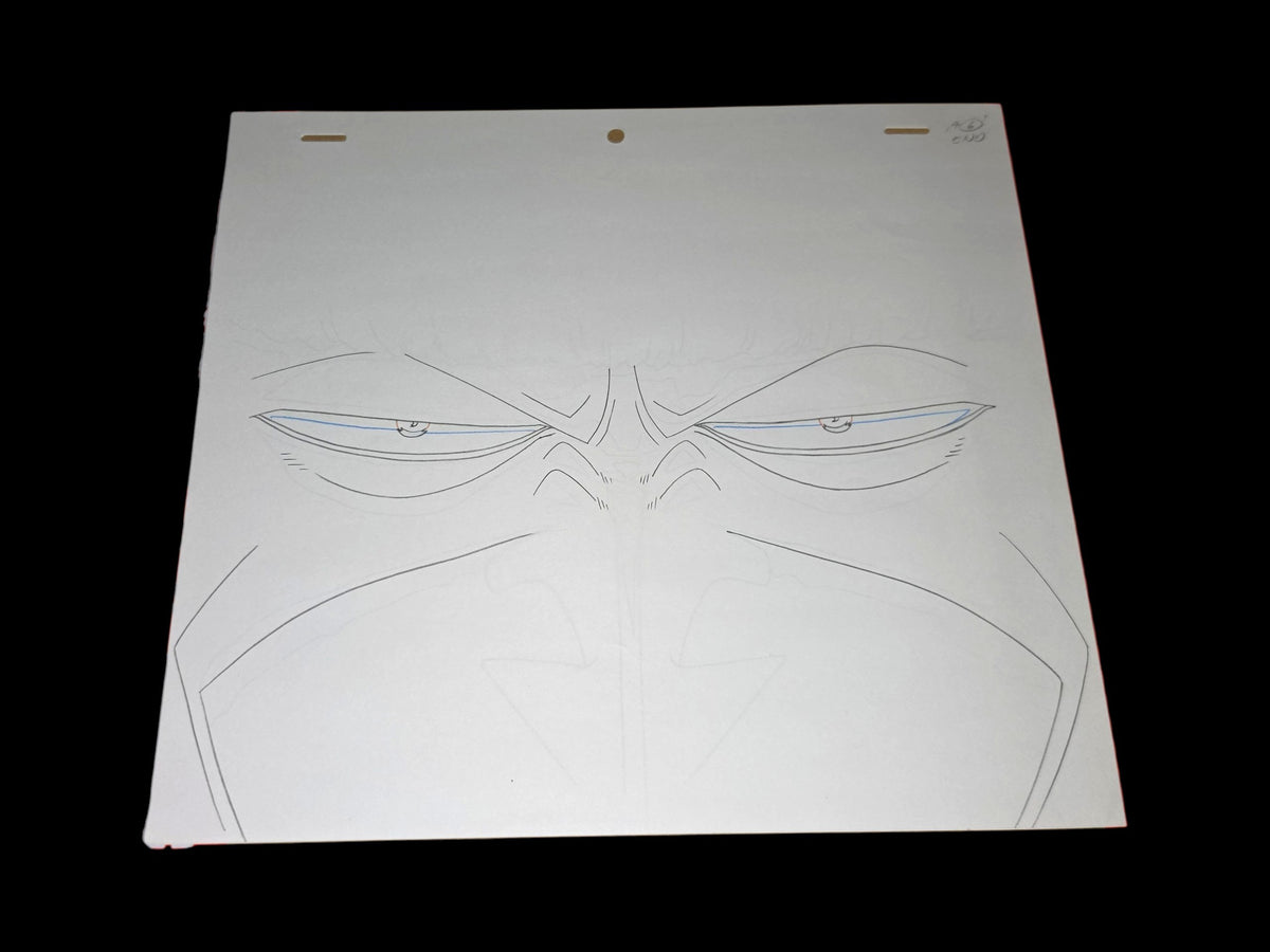 One Piece: Arlong animation genga/douga 20 pc set ep 41