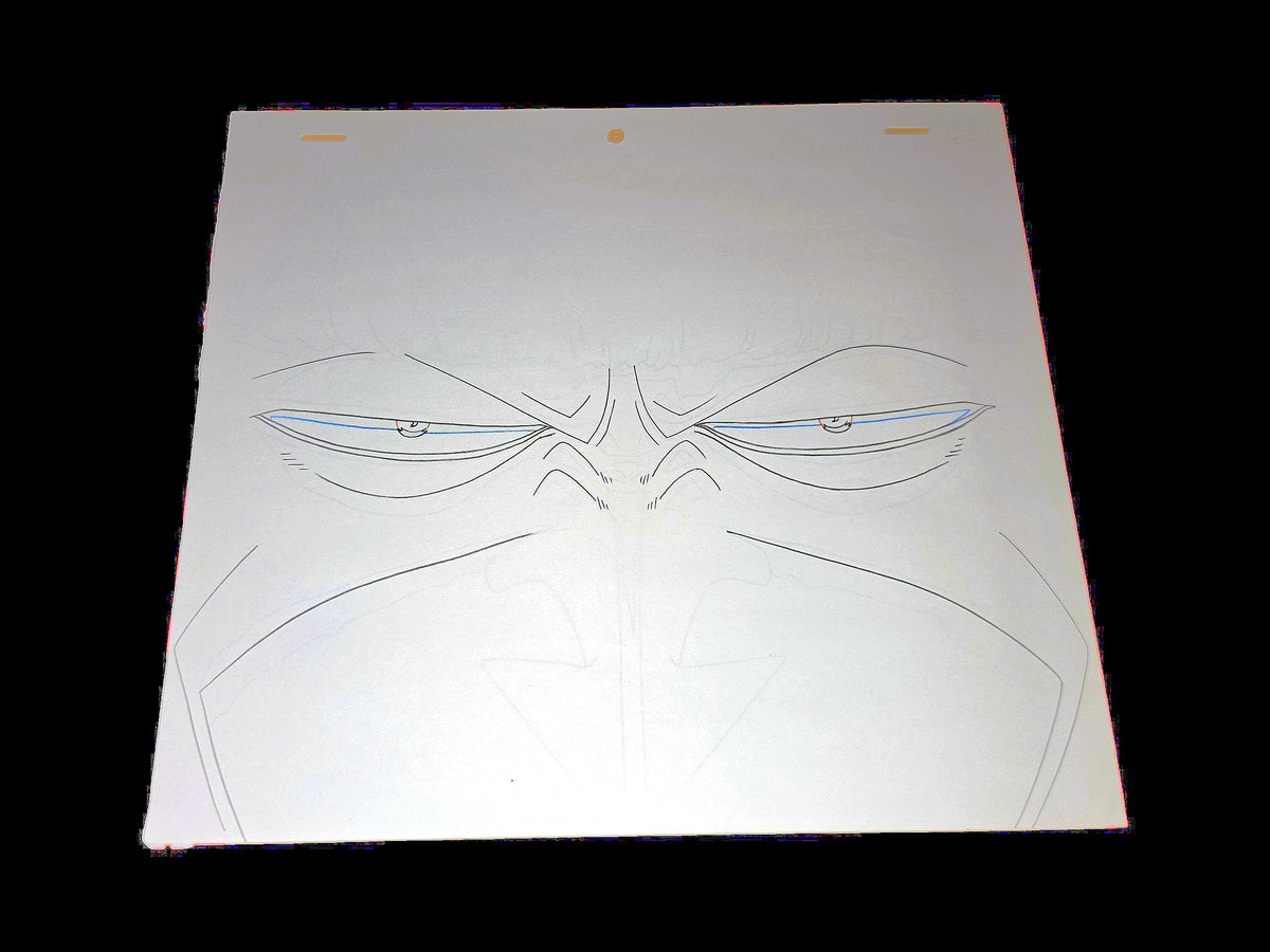 One Piece: Arlong animation genga/douga 20 pc set ep 41