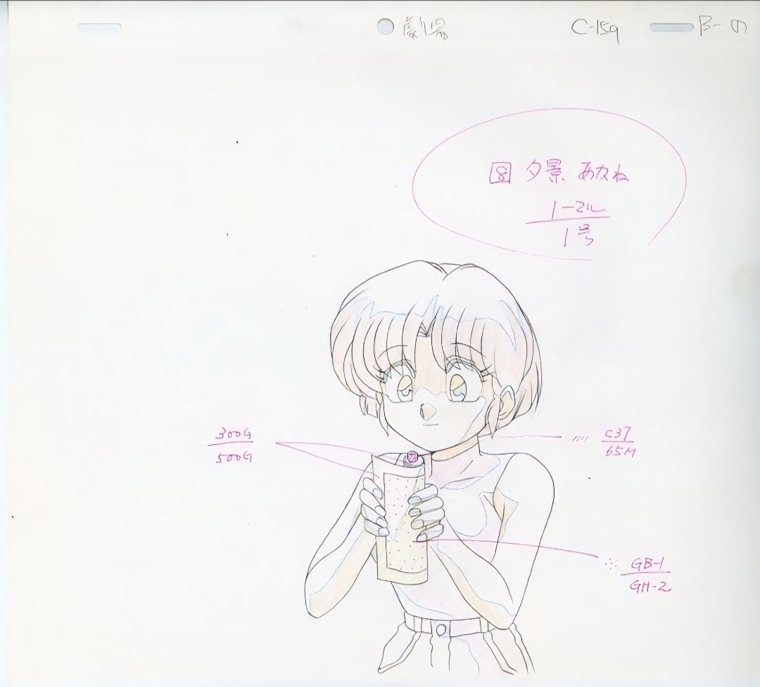 Ranma 1/2: Super Indiscriminate Decisive Battle! Team Ranma vs. the Legendary Phoenix Kasumi + Akane douga