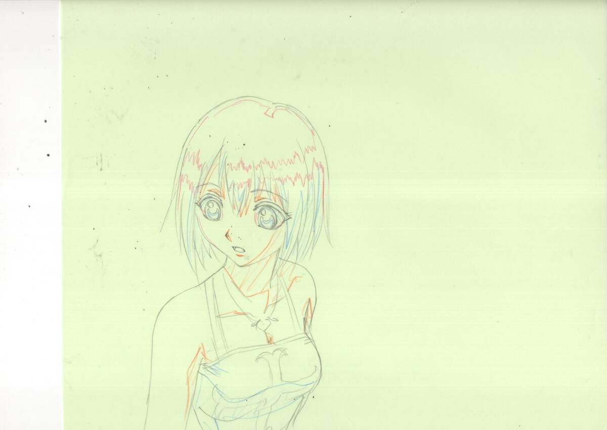 Rave Master: Elie & Plue animation genga 5 pc Hiro Mashima