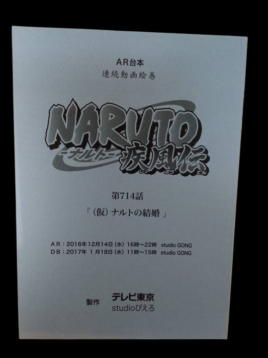 Naruto Shippuden: Script #714 ep #494 "Naruto's Marriage"