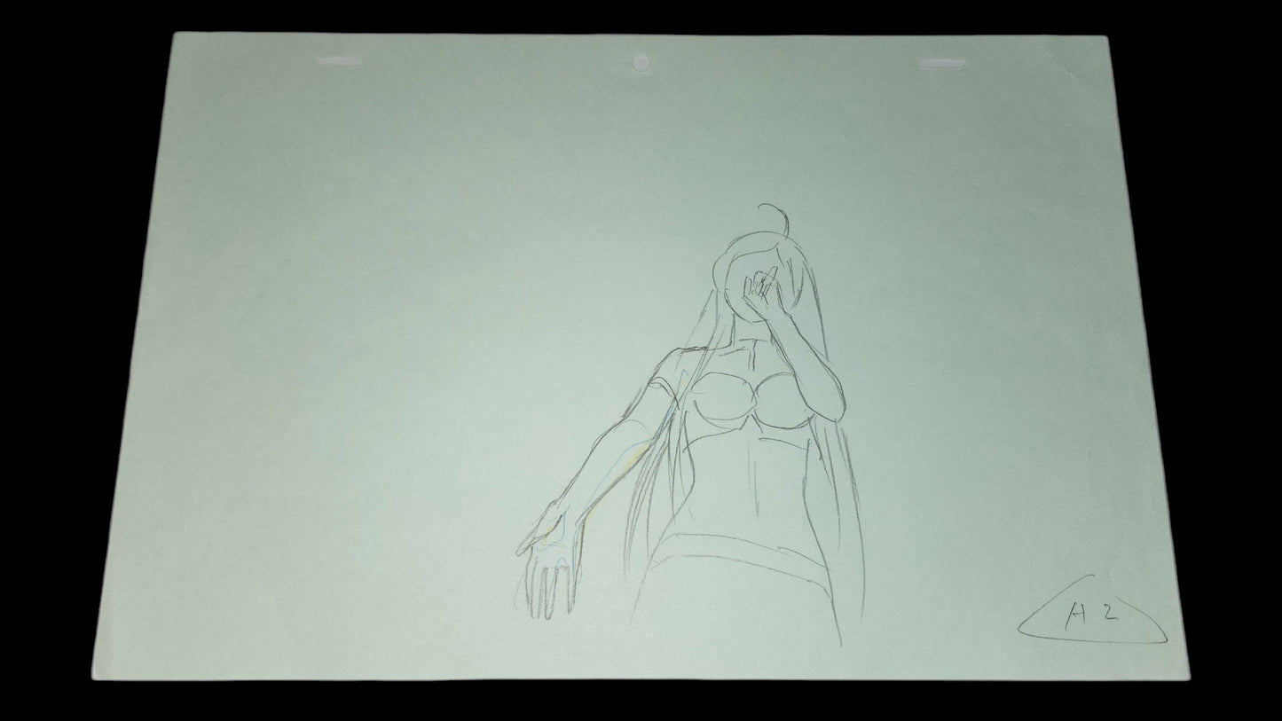 Rosario + Vampire: Opening Moka Akashiya animation OP genga 16 pc lot