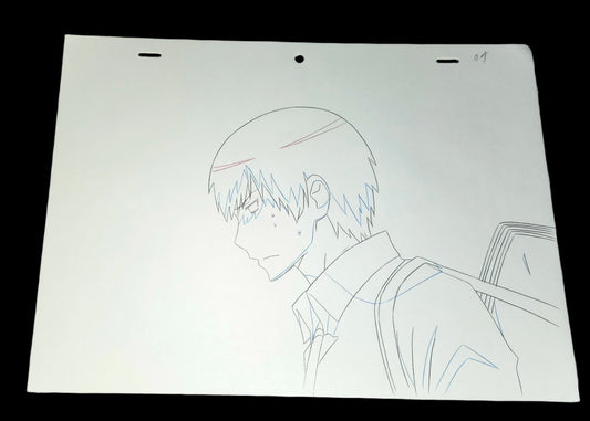 Toradora: Ryuji Takasu animation douga
