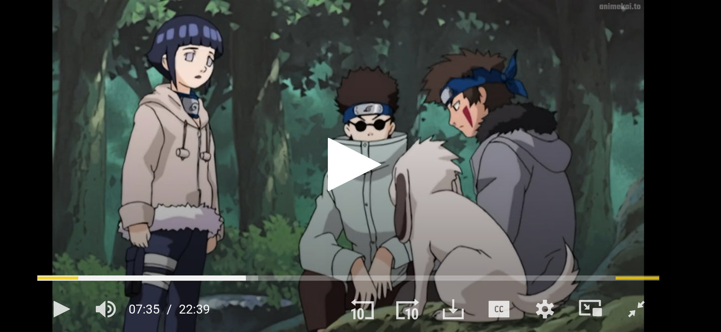 Naruto: Hinata, Kiba, Shino, and Akamaru animation douga