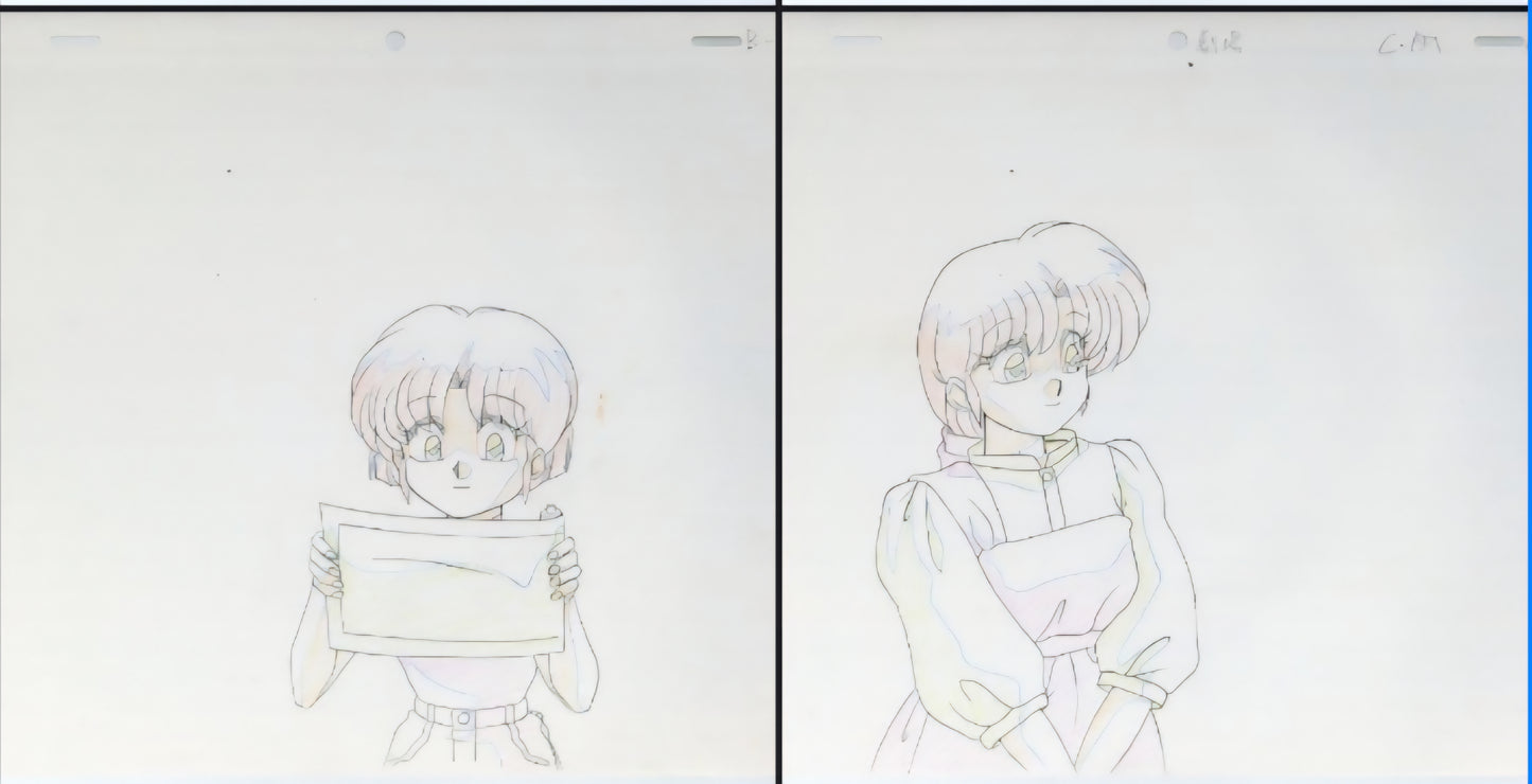 Ranma 1/2: Super Indiscriminate Decisive Battle! Team Ranma vs. the Legendary Phoenix Kasumi + Akane douga