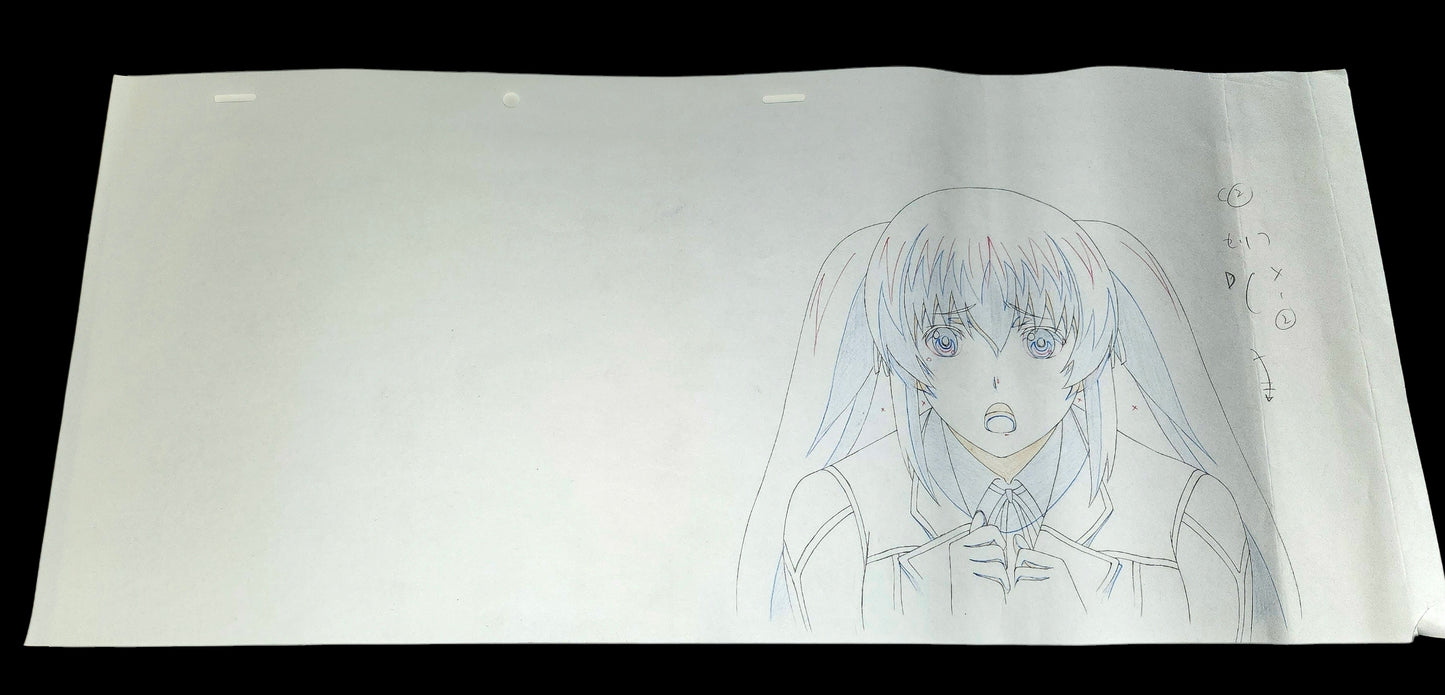 Aesthetica of a Rogue Hero: animation genga 2 pc