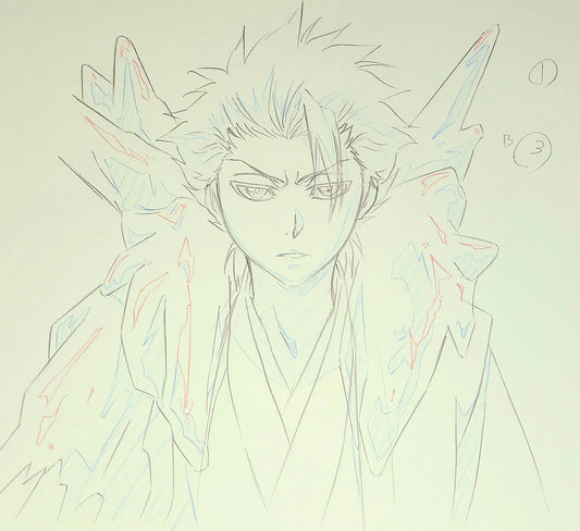 Bleach: Toshiro
Hitsugaya Hyõrinmaru's Bankai animation genga