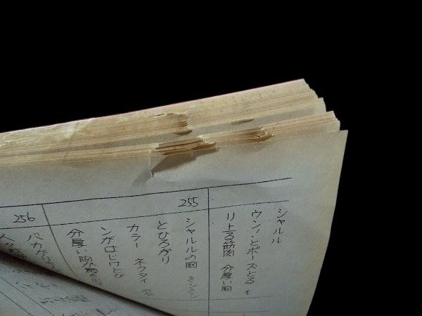 Ghibli Laputa: Castle in the Sky Movie Script