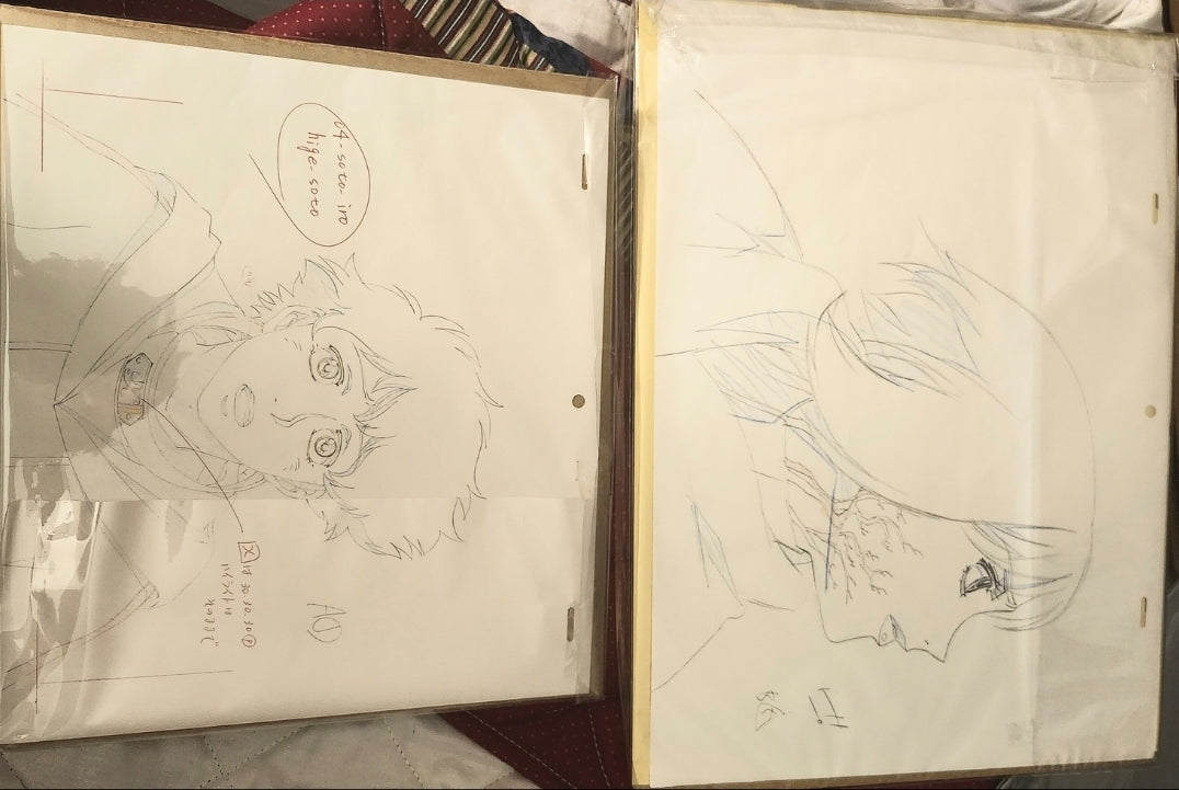 Wolf's Rain: Cheza extra large animation genga