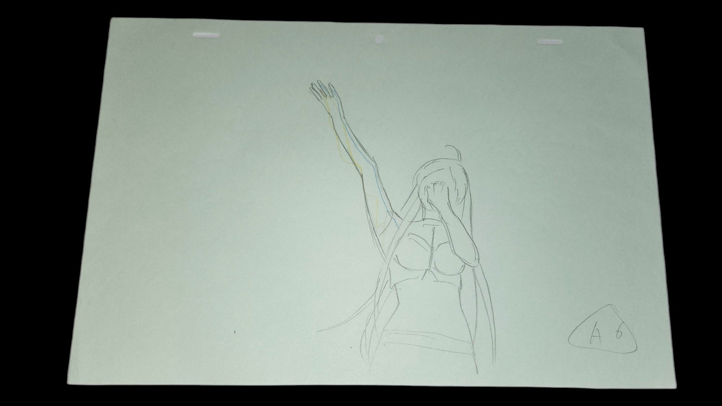 Rosario + Vampire: Opening Moka Akashiya animation OP genga 16 pc lot