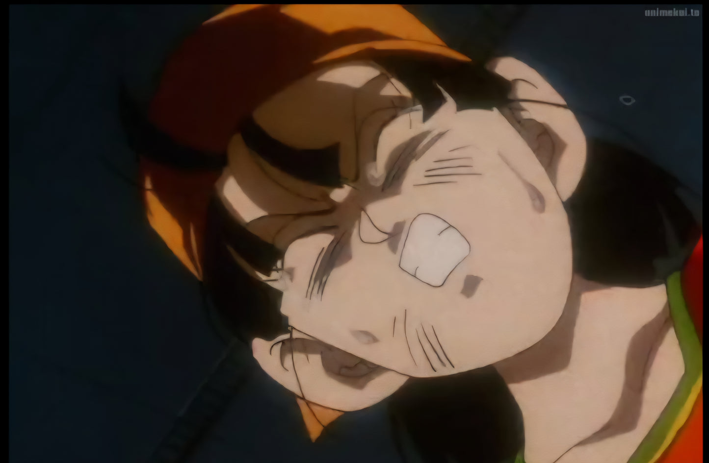 Dragonball gt: Pan energy blast animation genga 8 pc