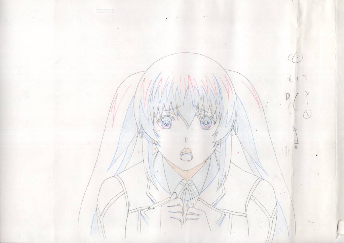 Aesthetica of a Rogue Hero: animation genga 2 pc