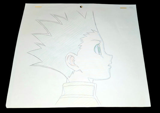 Hunter x Hunter: Gon animation douga