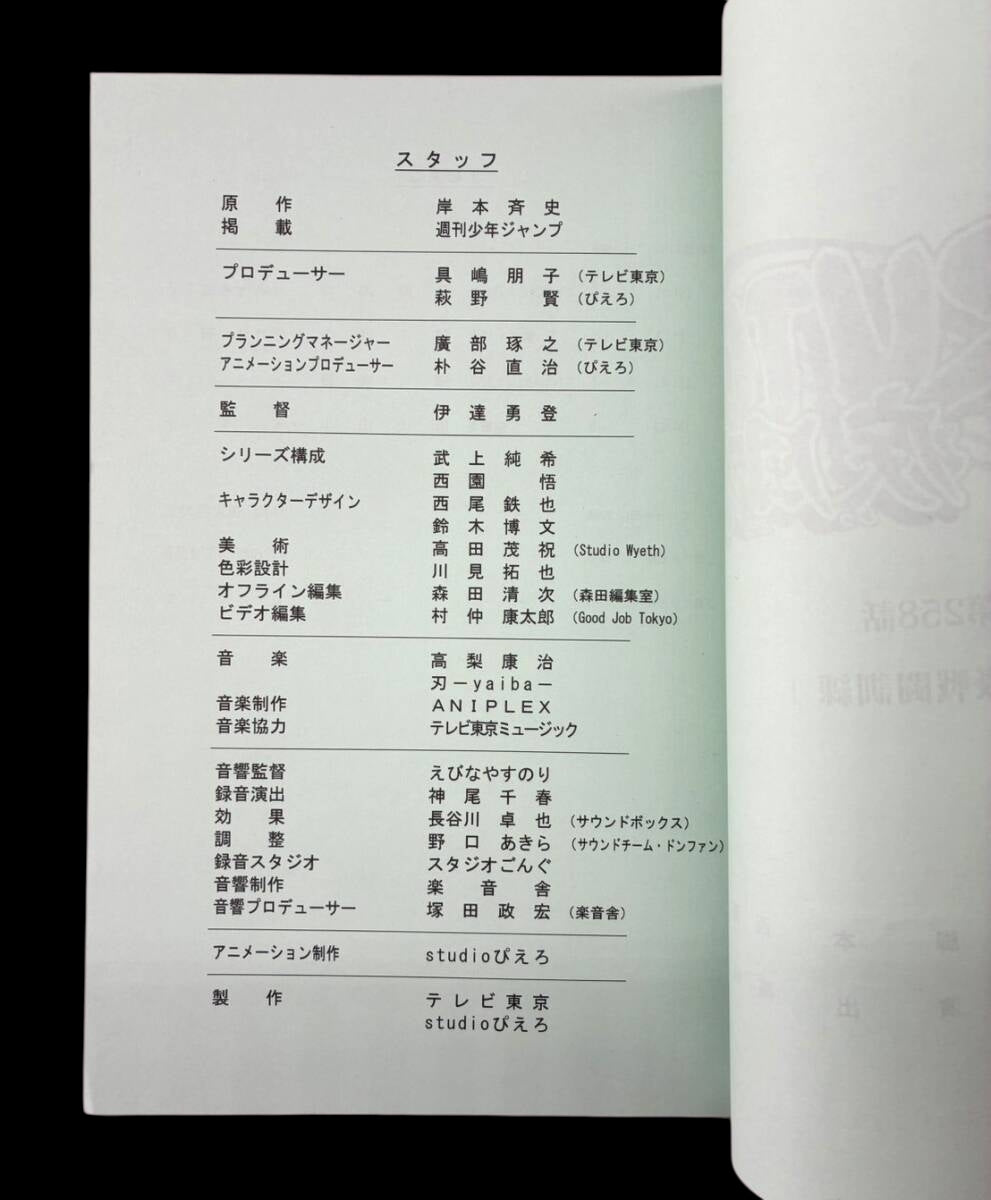 Naruto Shippuden #258 original studio script