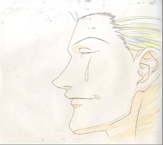 Hunter x Hunter: Hisoka animation douga
