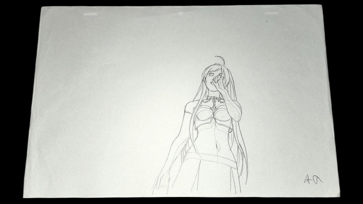 Rosario + Vampire: Opening Moka Akashiya animation OP genga 9 pc