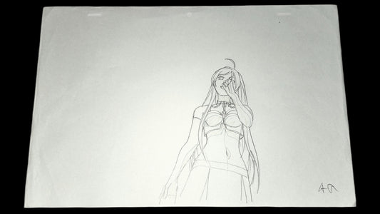 Rosario + Vampire: Opening Moka Akashiya animation OP genga 9 pc