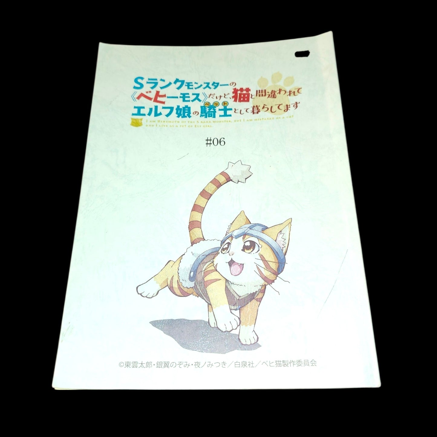 I'm a Behemoth, an S-rank monster, but I'm mistaken for a cat and living as a knight for an elf girl: Episode 6 script