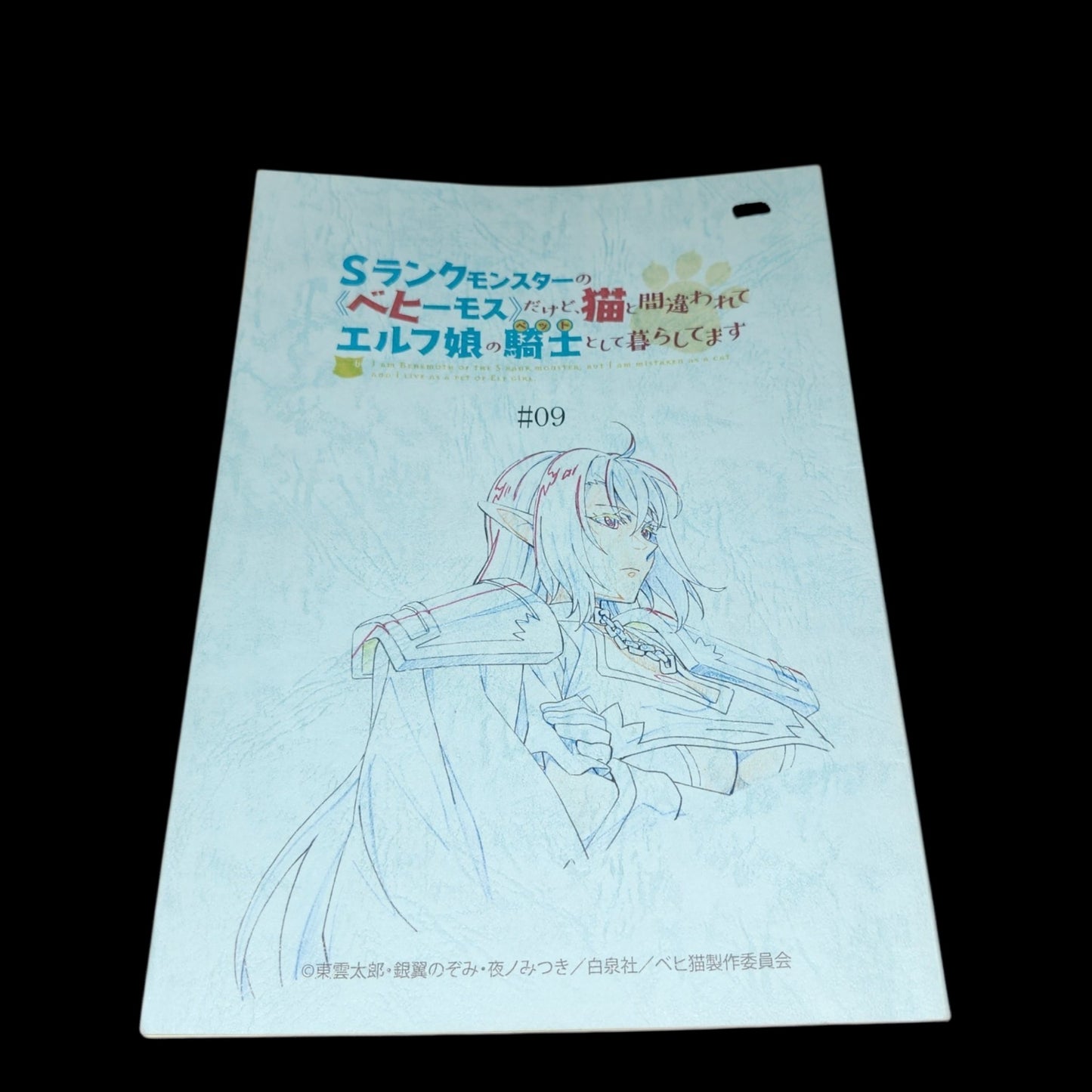 I'm a Behemoth, an S-rank monster, but I'm mistaken for a cat and living as a knight for an elf girl: Episode 9 script