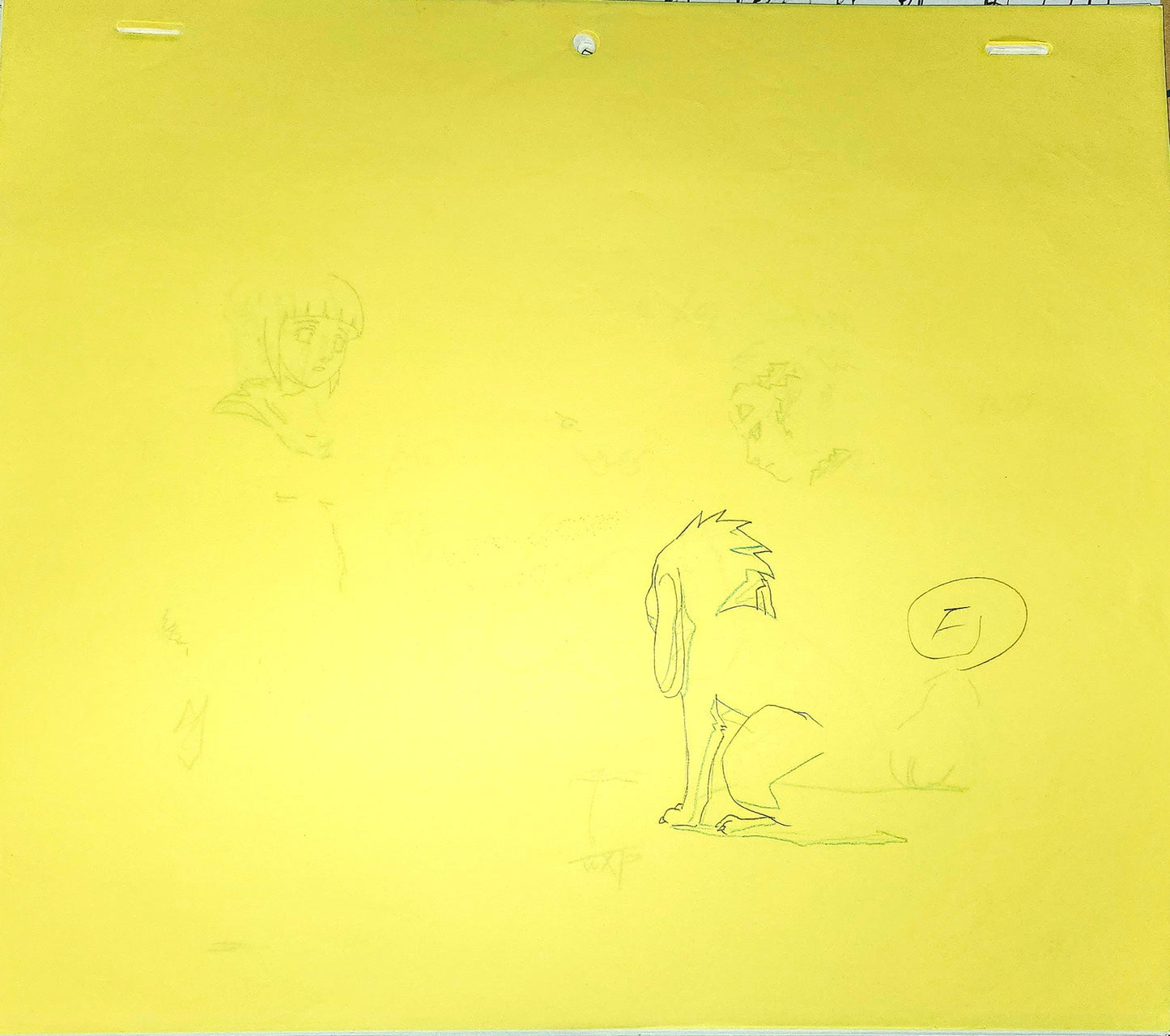 Naruto: Hinata, Kiba, Shino, Akamaru animation genga 4 piece