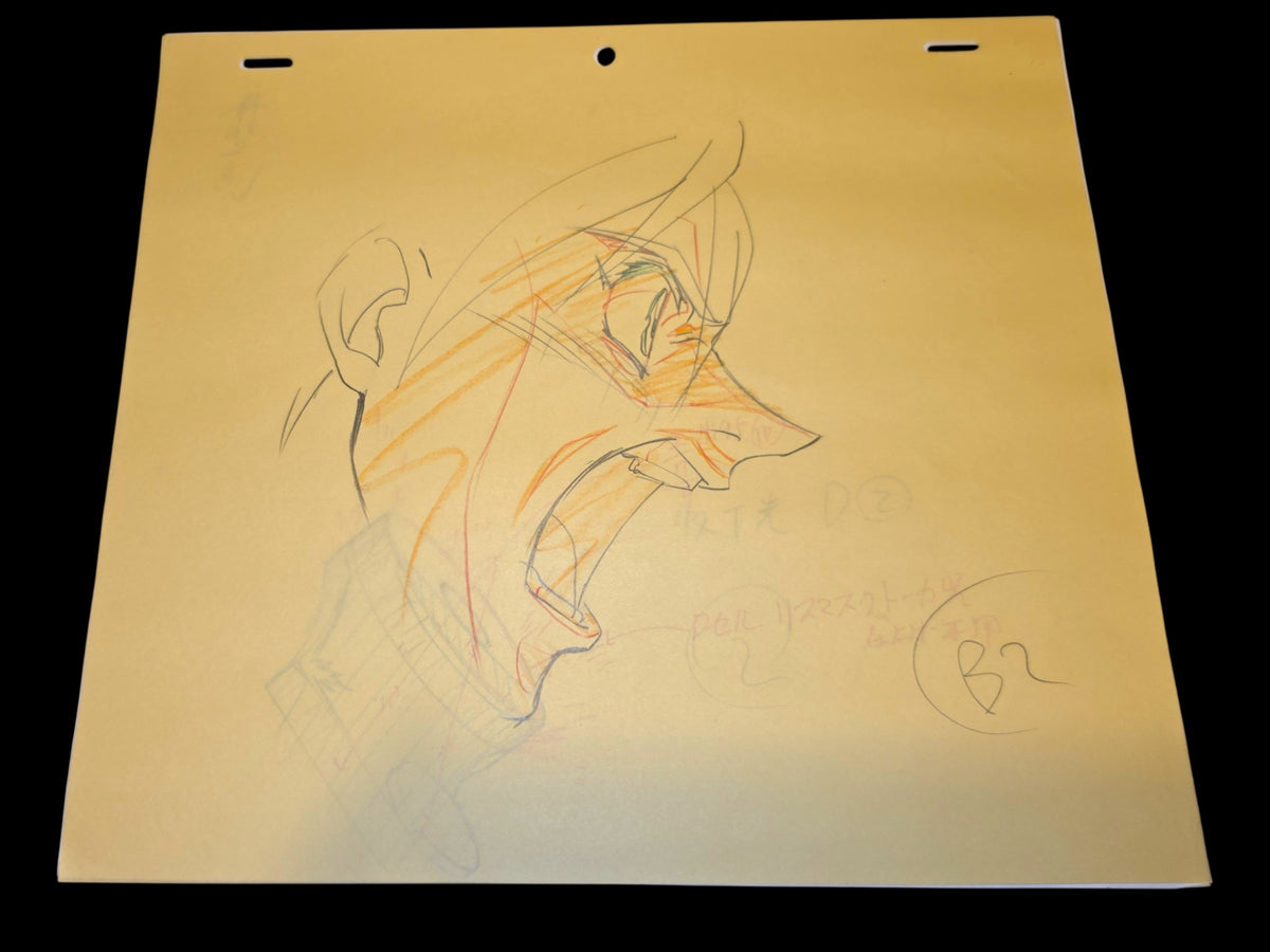 Escaflowne: Van Fanel animation genga 4 pc