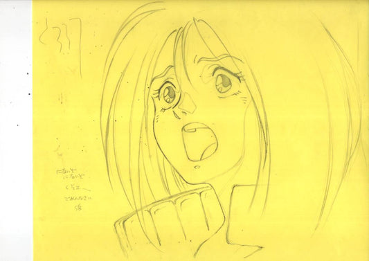 Tekkaman Blade: 10 piece animation genga set