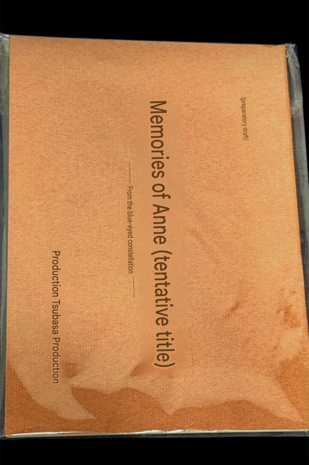 The Story of Perrine: Huge lot of scripts and Research Notes