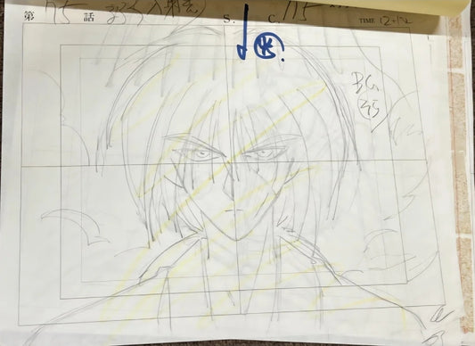 Rurouni Kenshin: Kenshin Himura animation layout