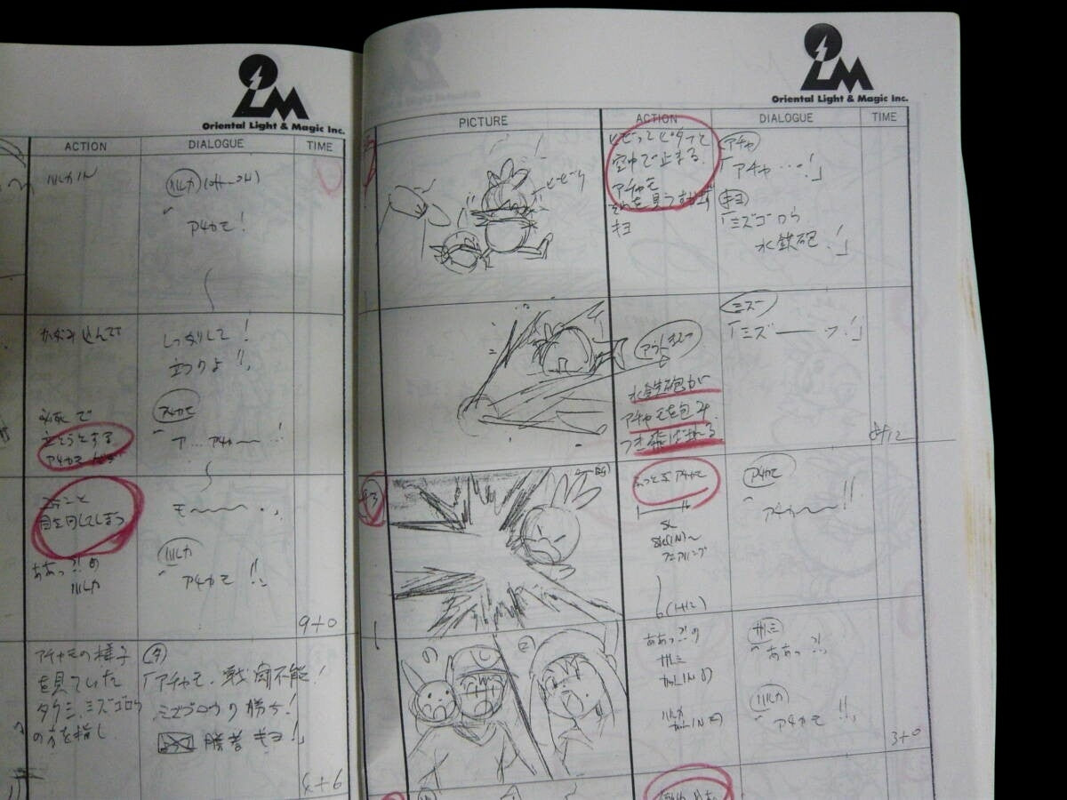 Pokemon: Advanced Generation Hoenn Arc Episode 5: The Shorts Kid and Zigzagoon