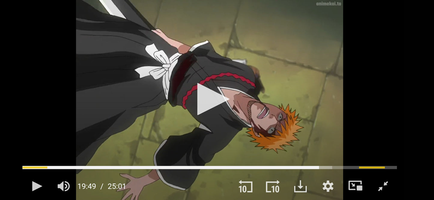 Bleach Ichigo animation douga