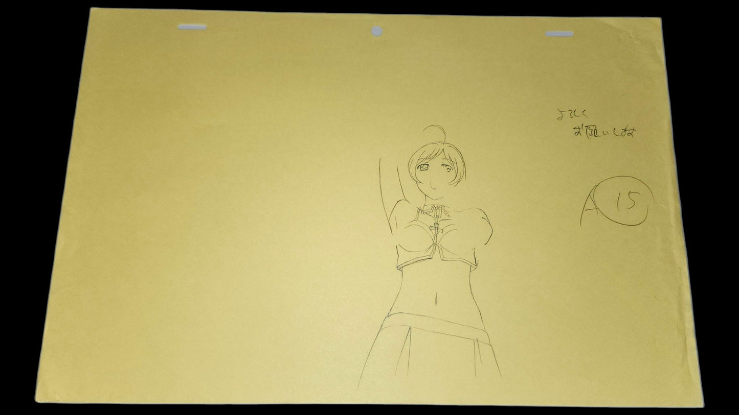 Rosario + Vampire: Opening Moka Akashiya animation OP genga 16 pc lot