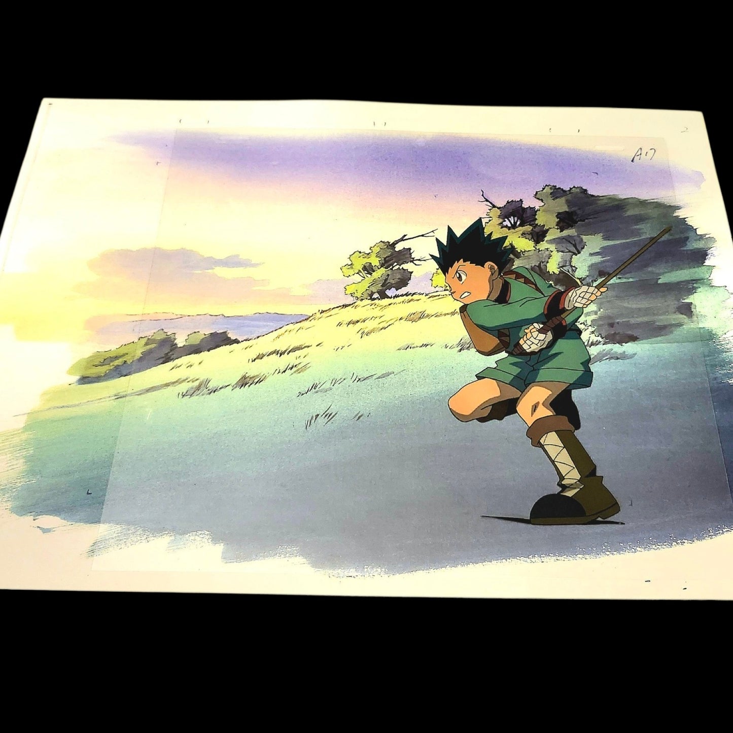 Hunter X Hunter: Gon animation Cel