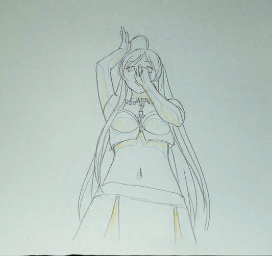 Rosario + Vampire: Opening Moka Akashiya animation OP genga 2 pc