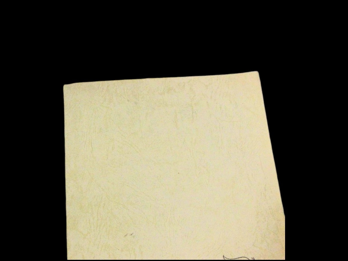 Yu-Gi-Oh!: Season 0 - script ep #12 (RARE)