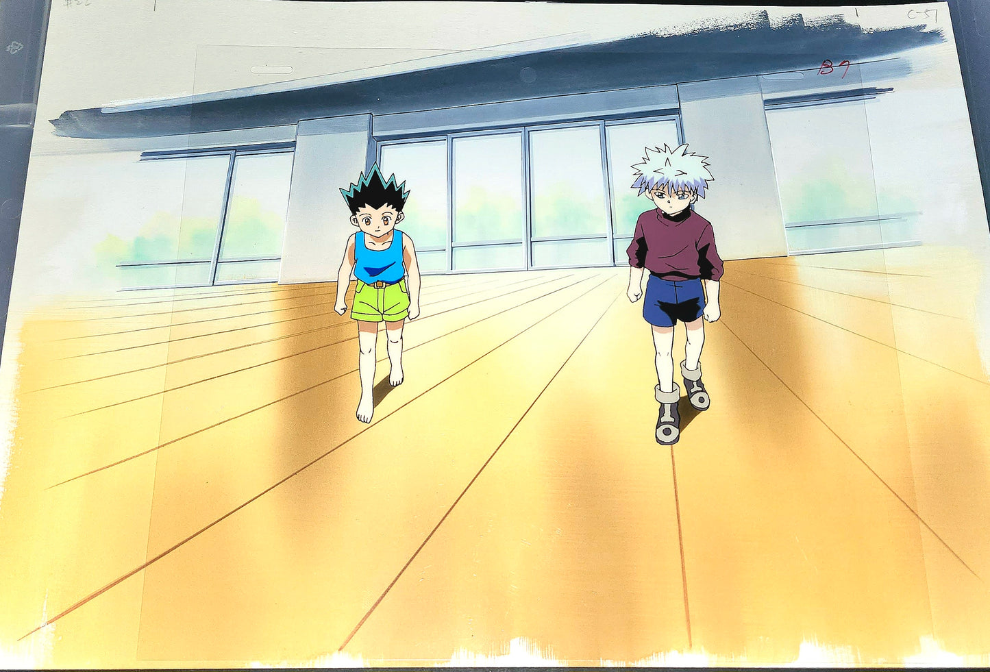 Hunter X Hunter: Gon + killua animation Cel w background